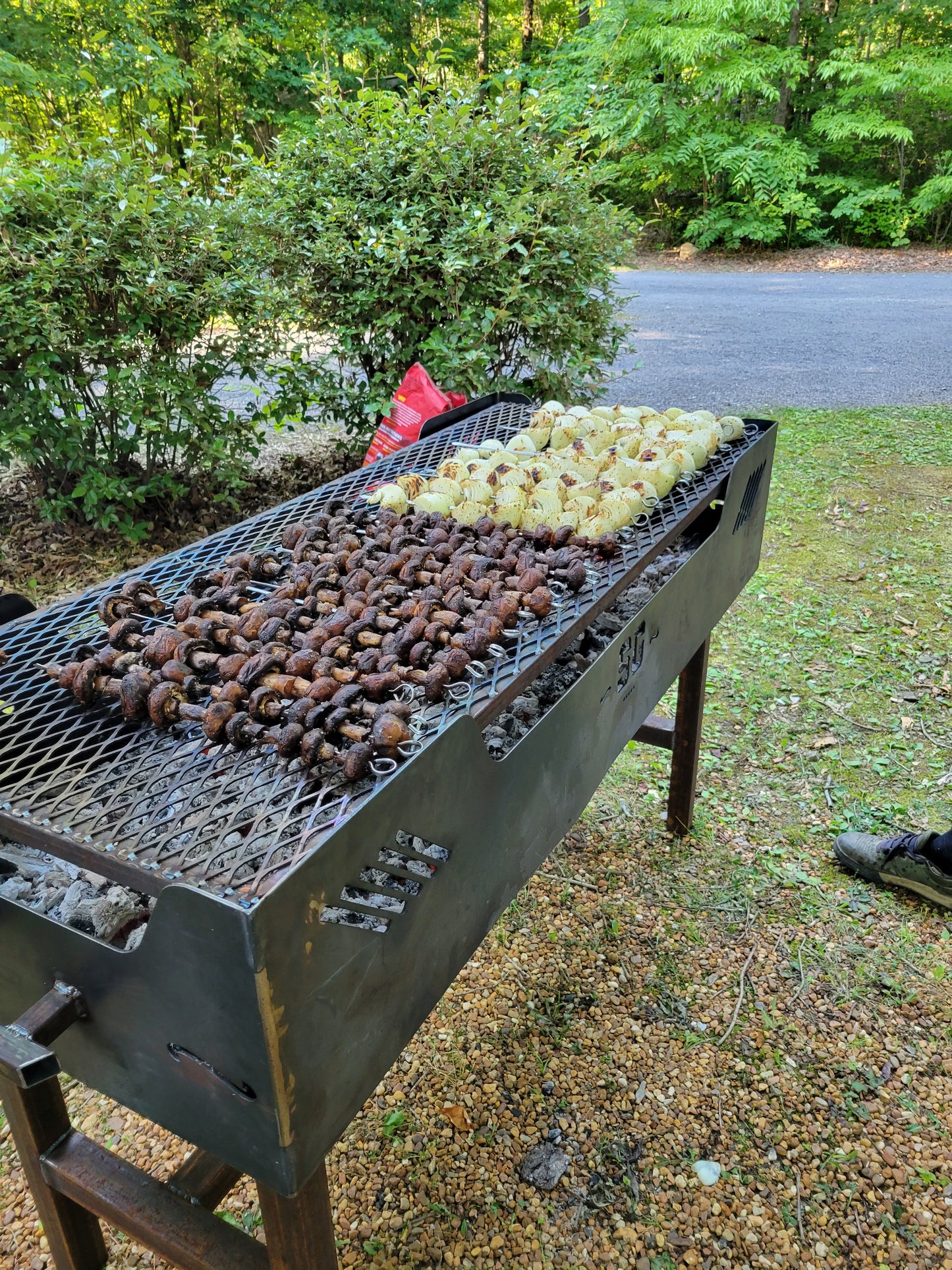 BBQ Charcoal/Wood Grills