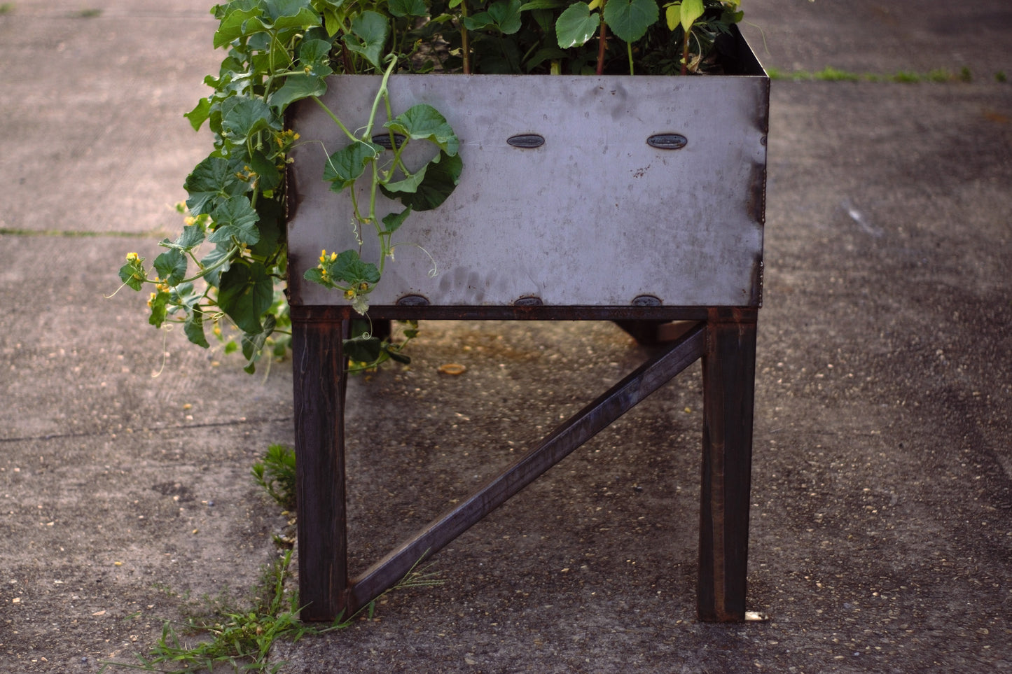 Steel Planter Boxes