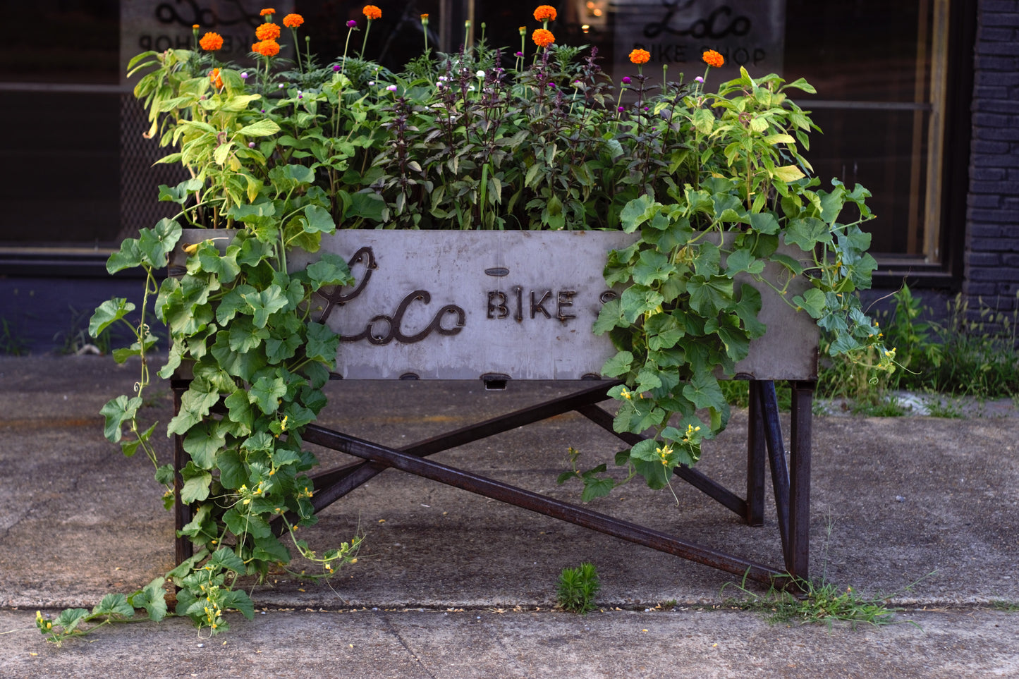 Steel Planter Boxes