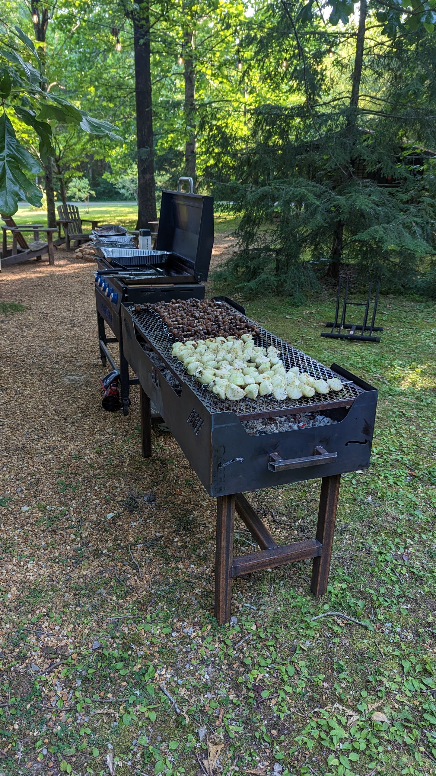 BBQ Charcoal/Wood Grills