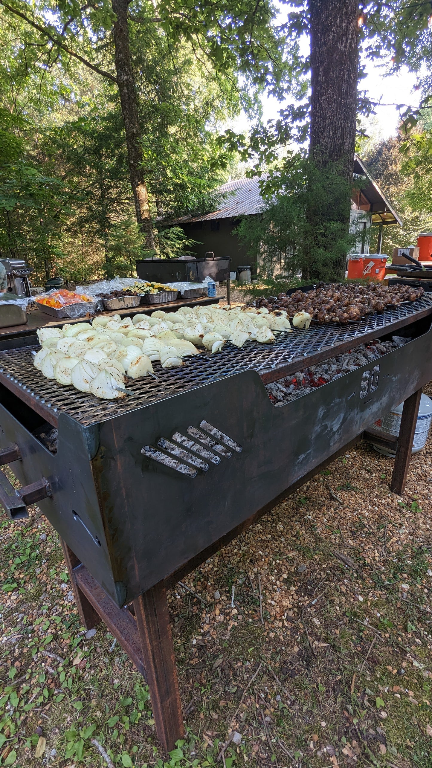 BBQ Charcoal/Wood Grills