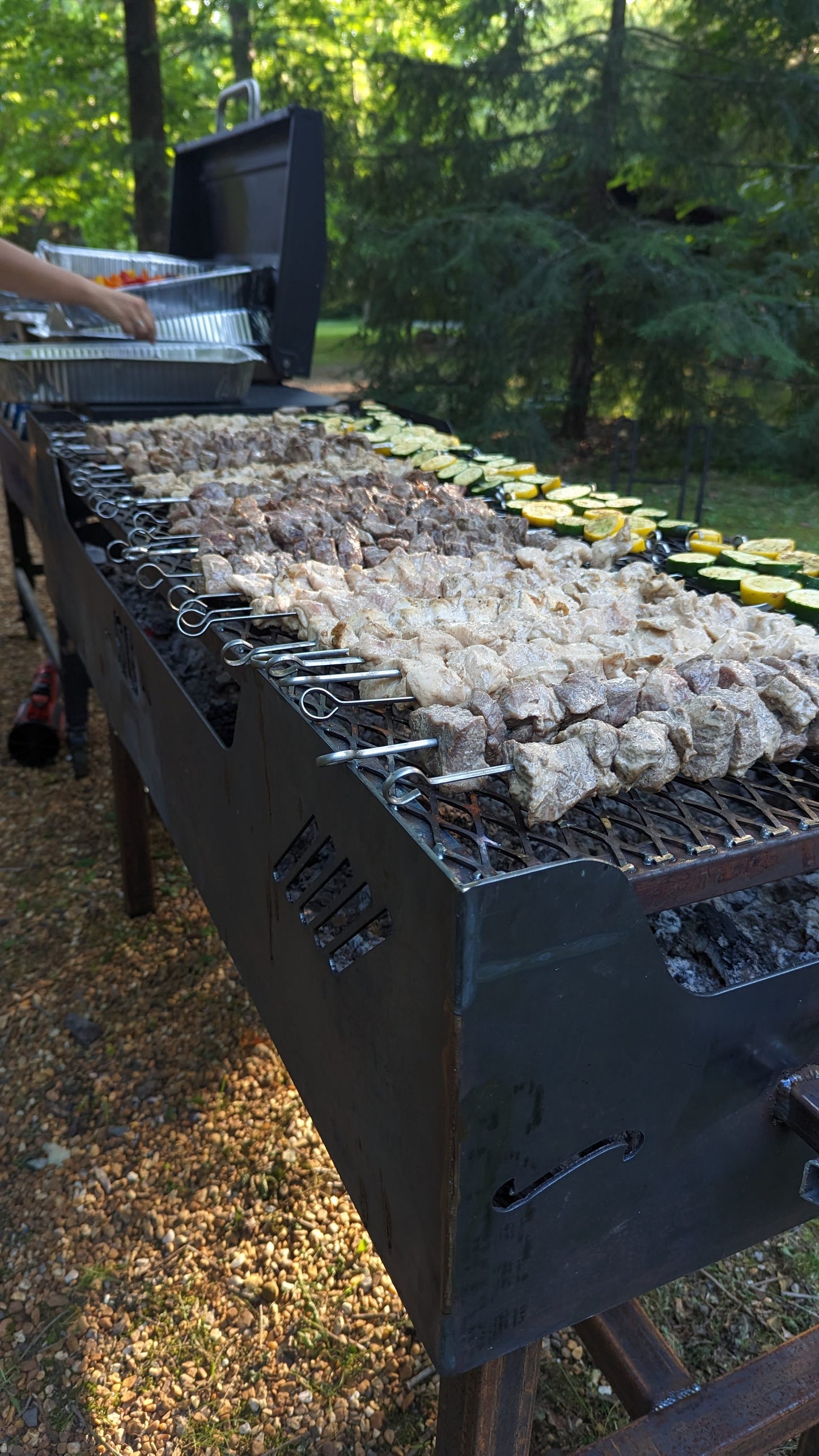 BBQ Charcoal/Wood Grills
