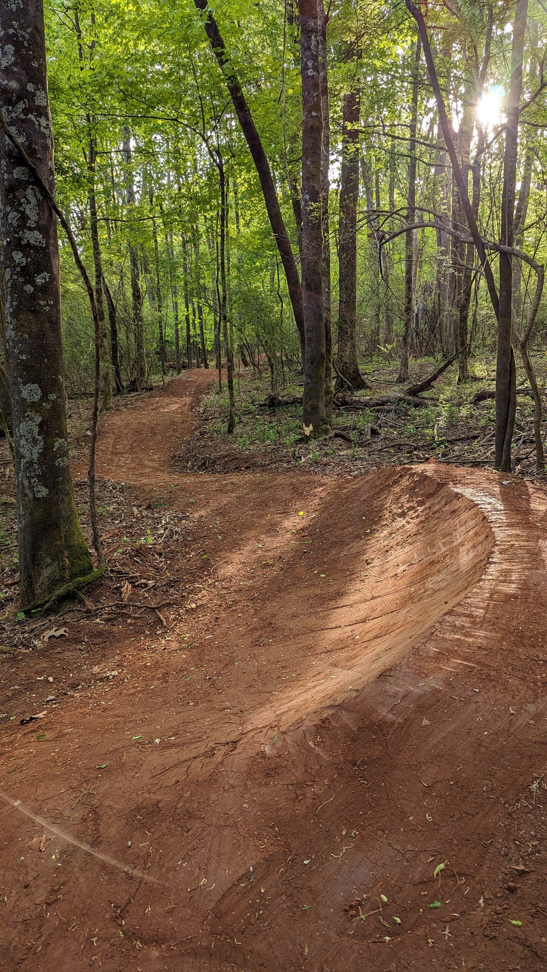 Concord Park Flow Trails - Farragut Tennessee