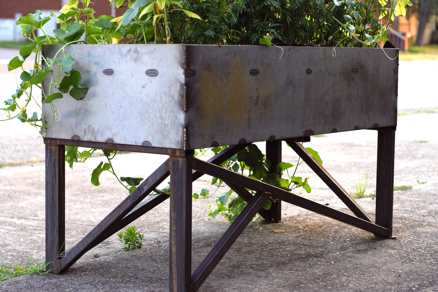 Steel Planter Boxes