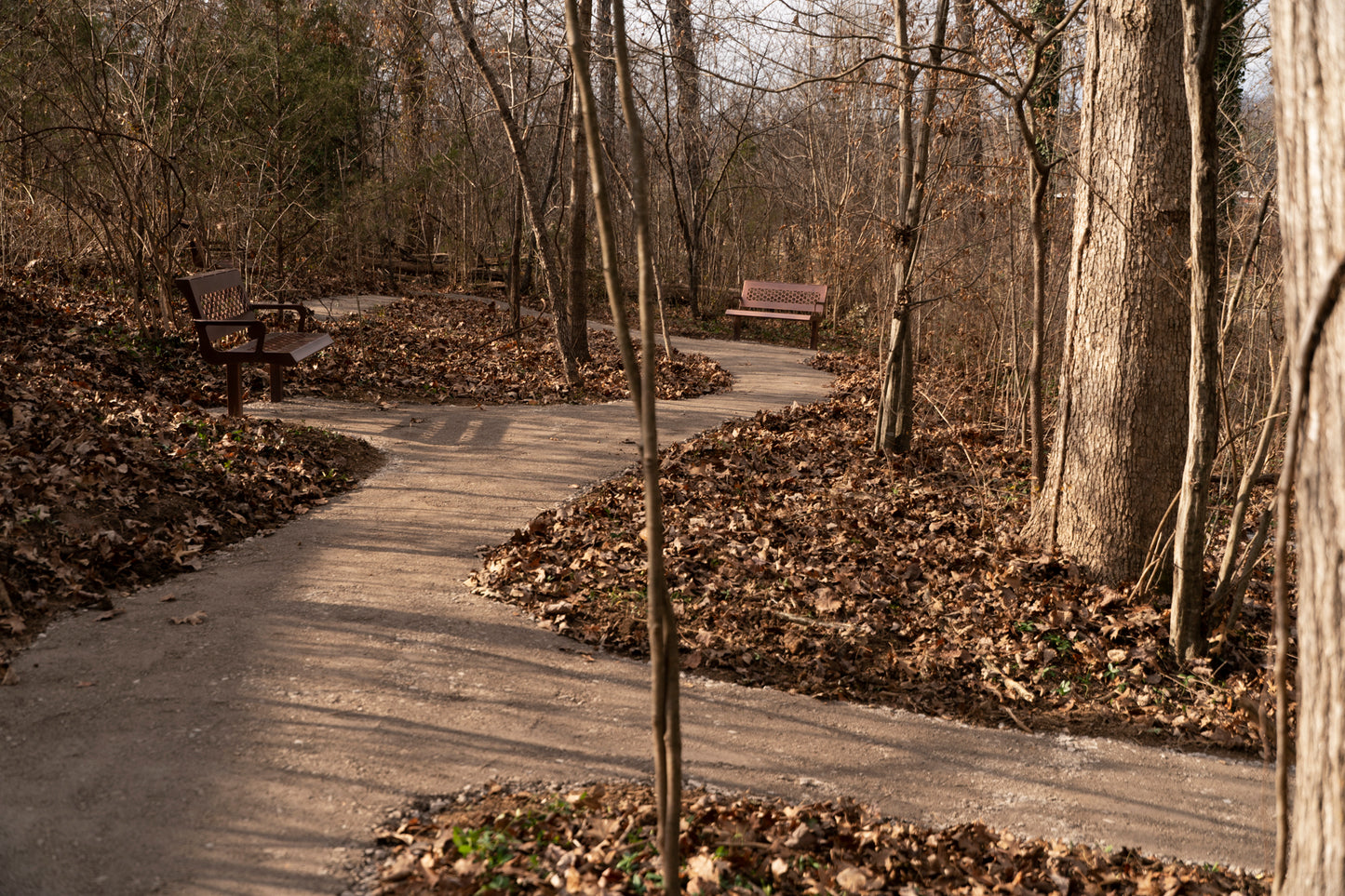 Signature Steel Park Bench – Hex Series