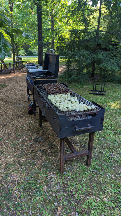 BBQ Charcoal/Wood Grills